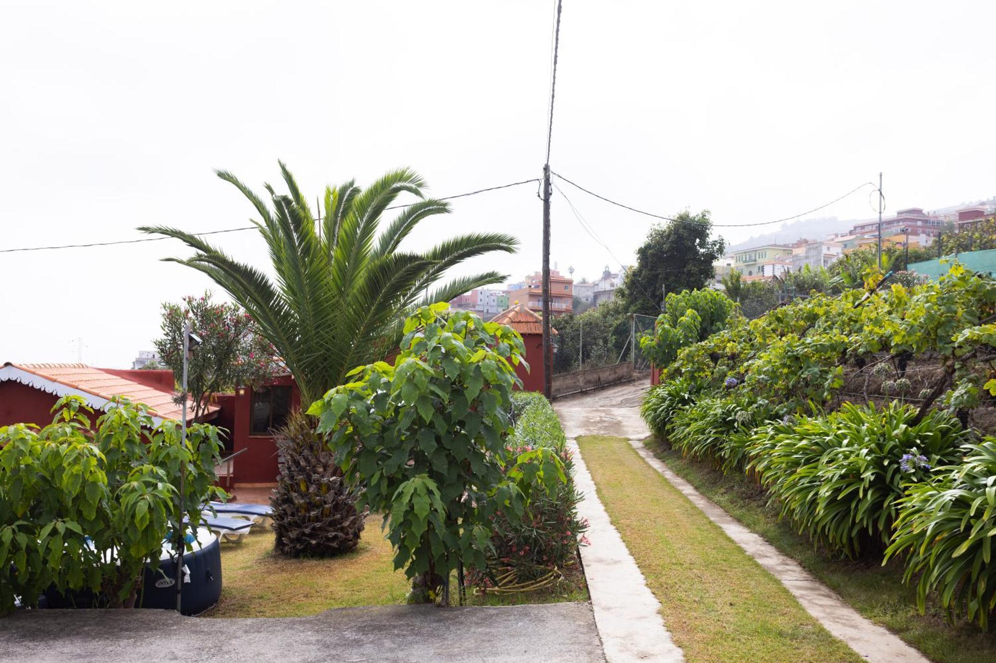 Home2Book Serene Retreat Isabel, Jacuzzi & Garden Icod el Alto 외부 사진